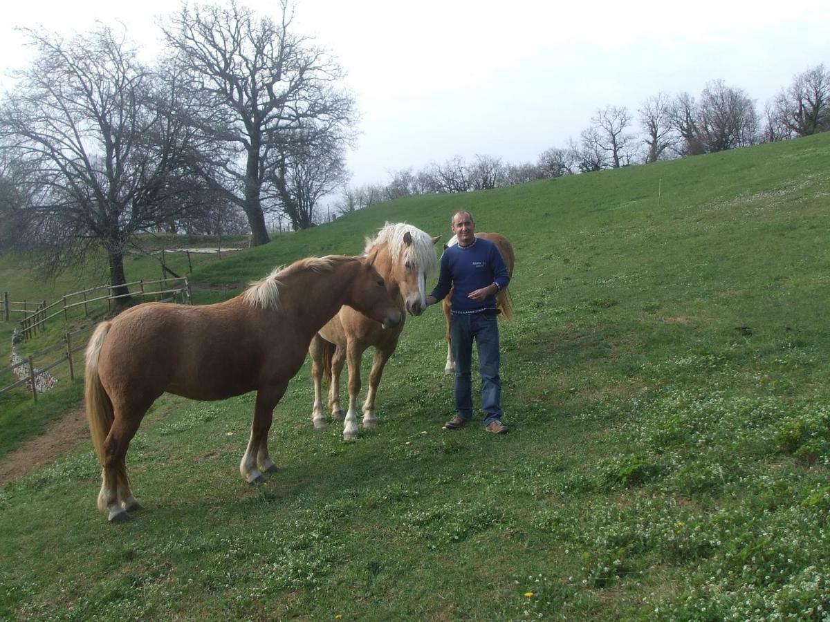Agriturismo Lusani Caprino Veronese Dış mekan fotoğraf